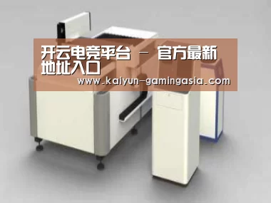 产品名称十五