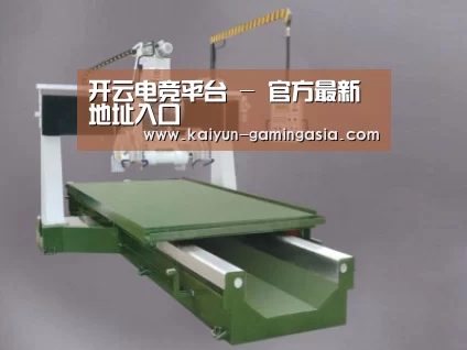 产品名称九