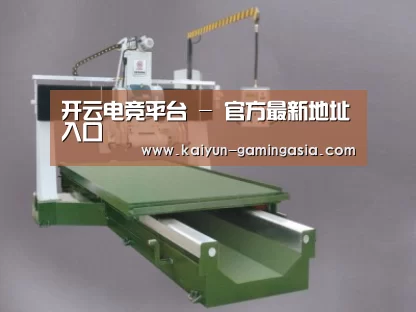 产品名称十
