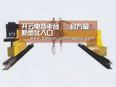 产品名称十八