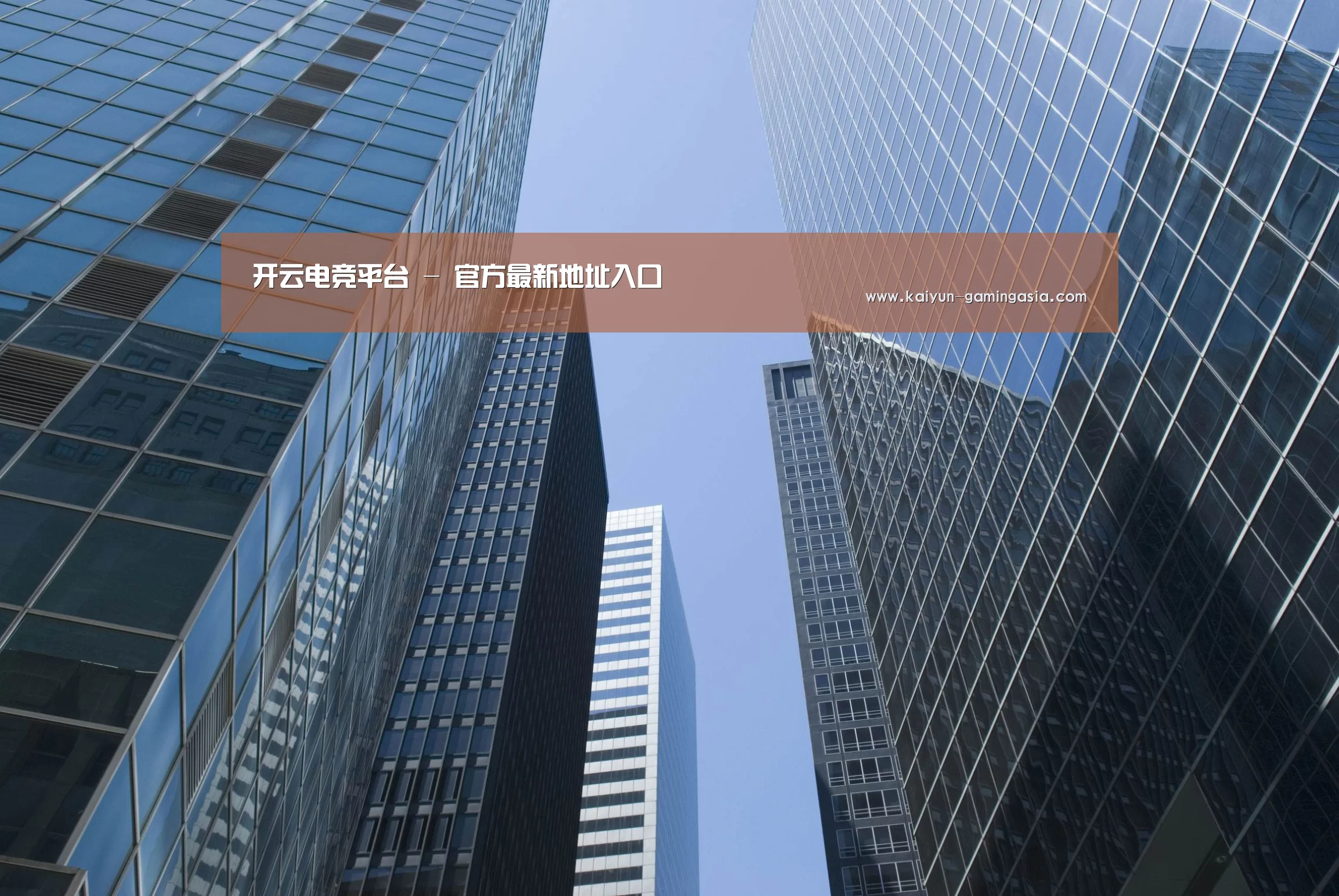 开云电竞公司简介 
