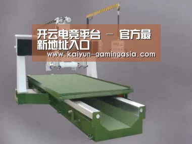 产品名称十