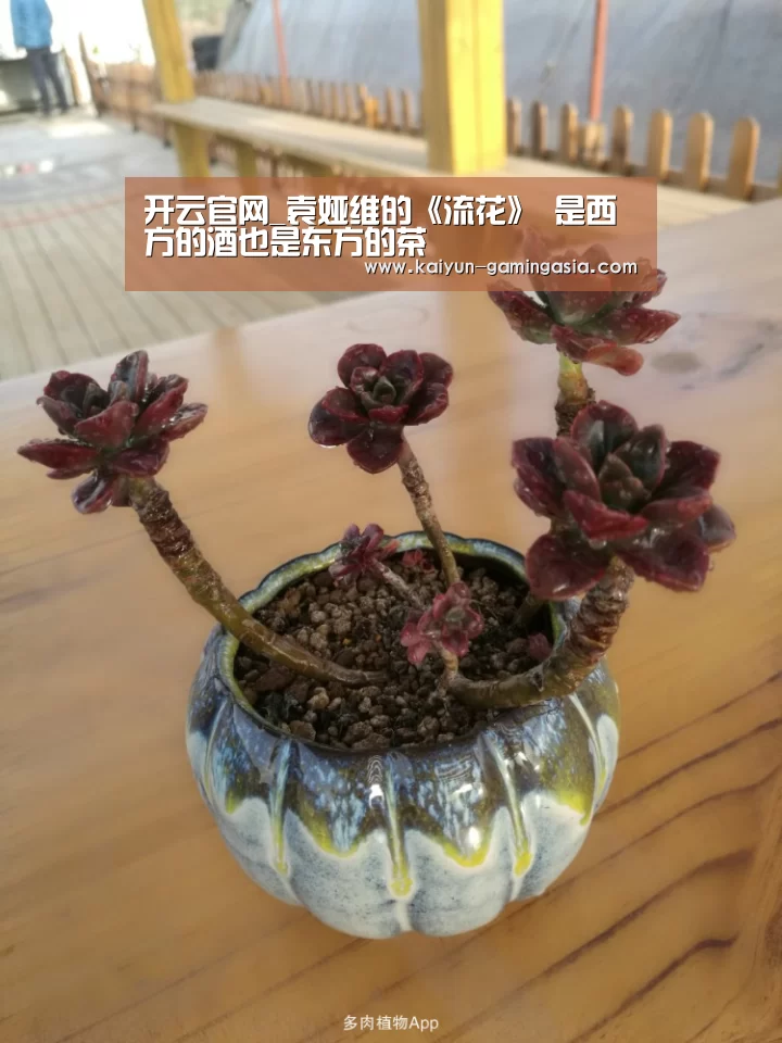 开云平台
