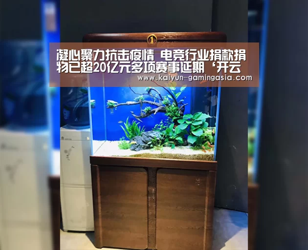 凝心聚力抗击疫情 电竞行业捐款捐物已超20亿元多项赛事延期‘开云官网’(图2) 开云平台