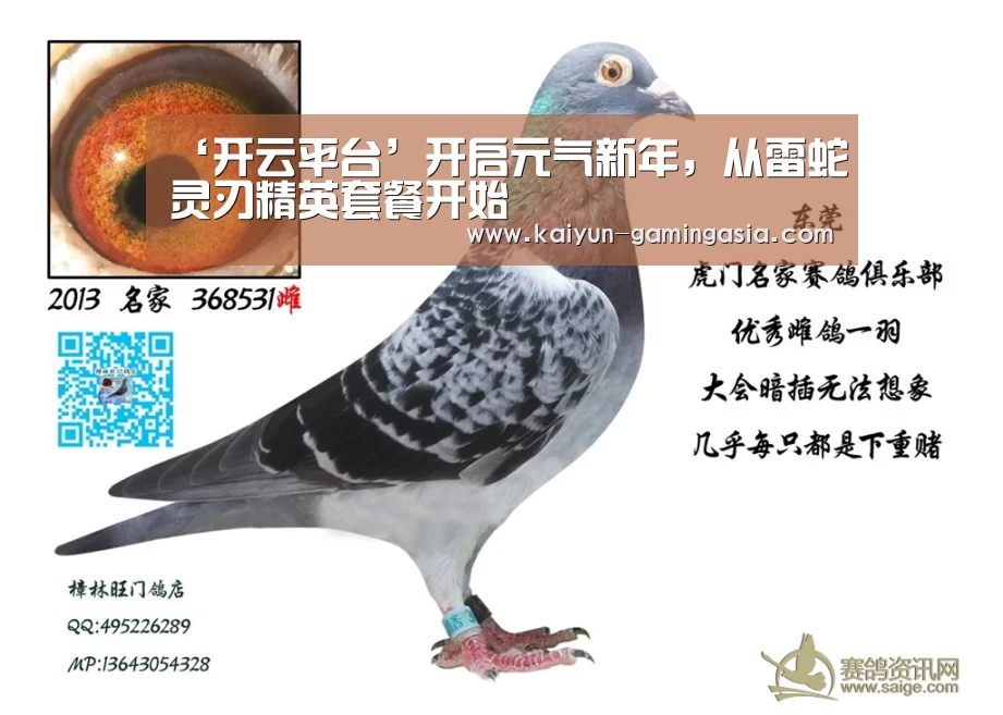 ‘开云平台’开启元气新年,从雷蛇灵刃精英套餐开始(图1) 开云电竞